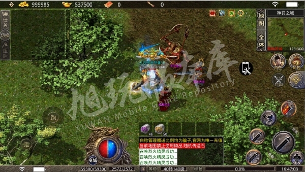 13.jpg